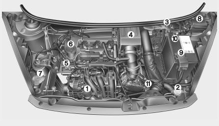 Compartimento del motor