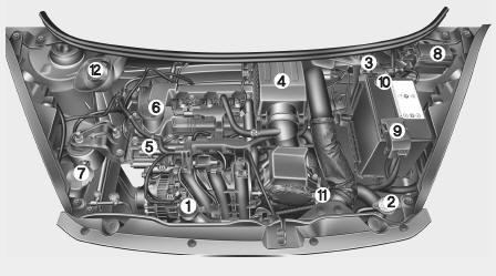 Compartimento del motor