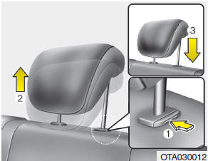 Extracción (opcional)