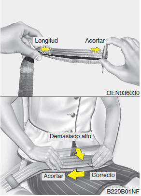 Cinturón abdominal (opcional)