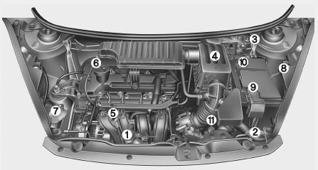 Compartimento del motor