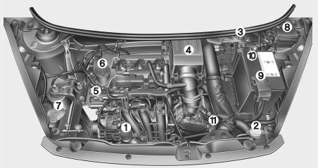 Compartimento del motor