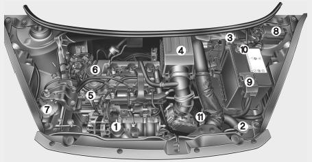 Compartimento del motor