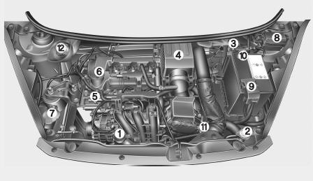 Compartimento del motor