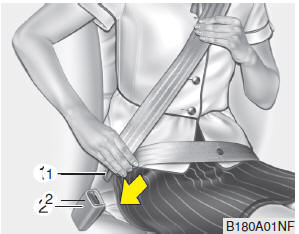 Banda abdominal/Banda del hombro