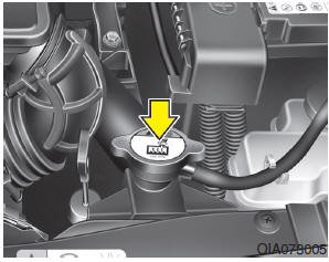 Checking the coolant level