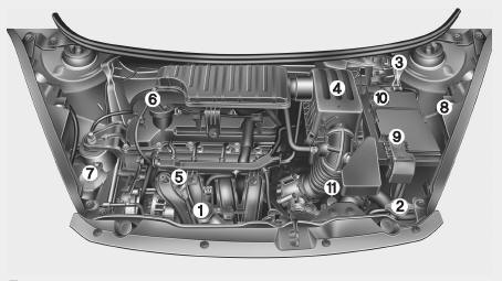 Compartimento del motor