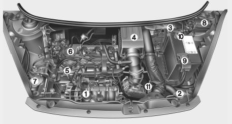 Compartimento del motor